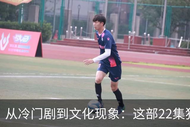 从冷门剧到文化现象：这部22集犯罪剧如何塑造十年IP传奇